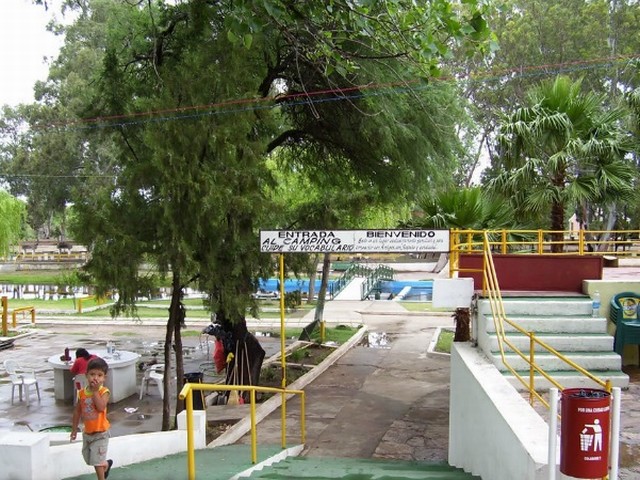 Camping Municipal La Cartuja