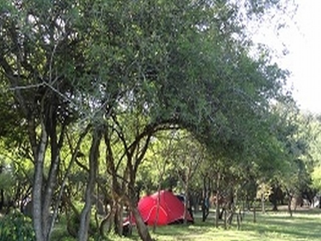 Camping Luyaba