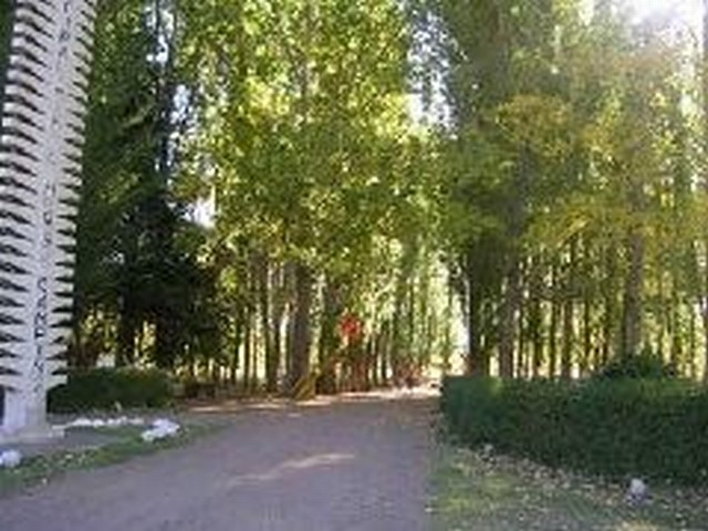 Camping Municipal de Uspallata