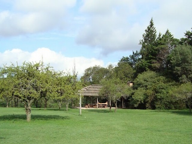 El Albergue 