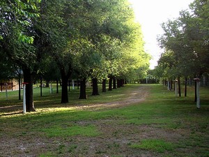 Camping y cabañas El Gringo