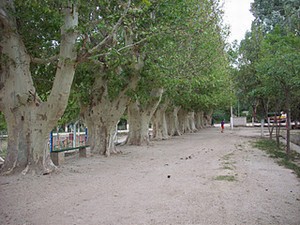 Autocamping Municipal Villa del Parque