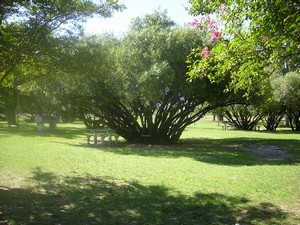 Ruinas del Molino Barreiro