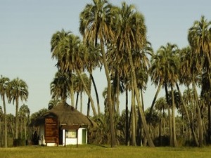 Campamento Organizado El Palmar