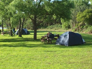 Camping agreste