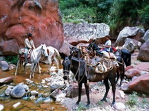 Establecimiento Tata Balta