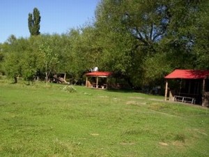 Camping Municipal de Loncopué