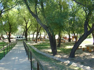 Camping Municipal de Las Lajas