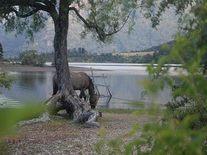 Camping Agreste Ecufué