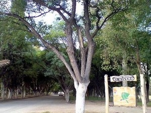 Camping Municipal El Vivero