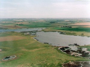 Club de Pesca y Náutica El Venado