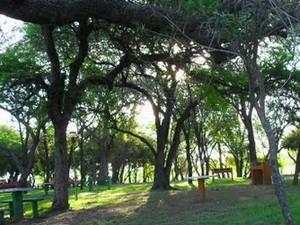 Camping Balneario Municipal Los Tatané 