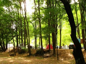 Camping Las Rosas