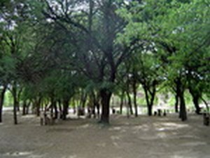 Camping Municipal Río Quilpo