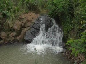 Agrocamping Heimat Landt de Familia Schwingel