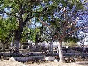 Camping de la Unión Vecinal de Anillaco