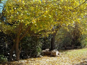 Camping Municipal La Escondida