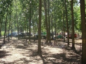 Camping La Isla