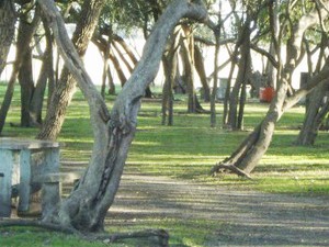 Club de Pescadores San Nicolás. Laguna Los Horcones