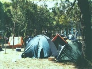 Camping Municipal Gral. Lavalle