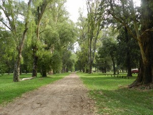 Parque Municipal Los Robles. Área Natural Protegida Dique Ingeniero Roggero. 